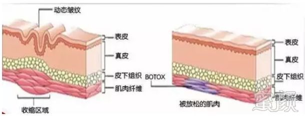 案例图片