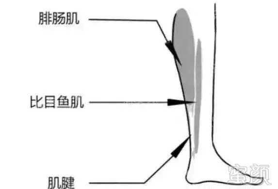 案例图片