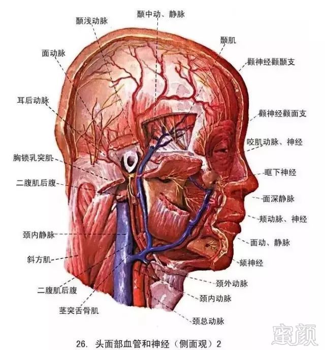 https://img.miyanlife.com/mnt/timg/181227/1330425105-2.jpg