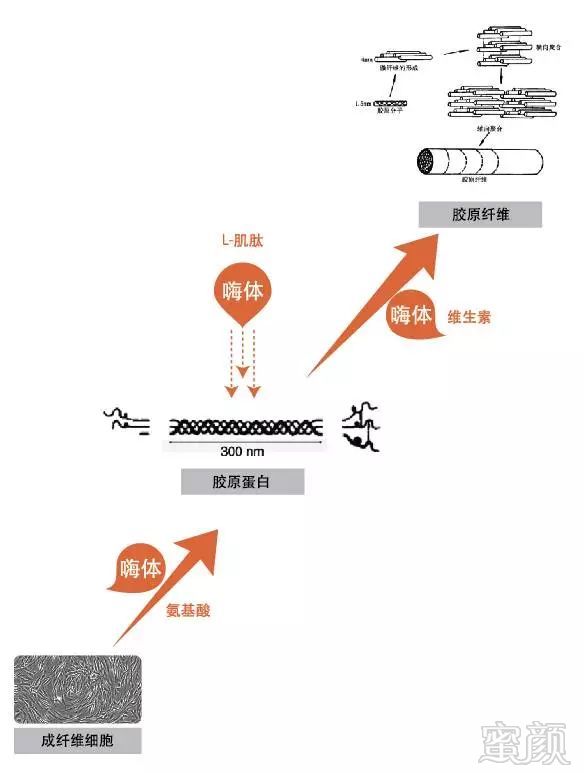 https://img.miyanlife.com/mnt/timg/181228/122K33Q7-1.jpg