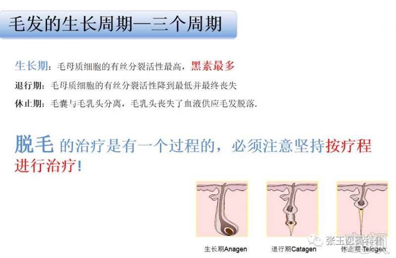 https://img.miyanlife.com/mnt/timg/181229/120H114Q-1.jpg