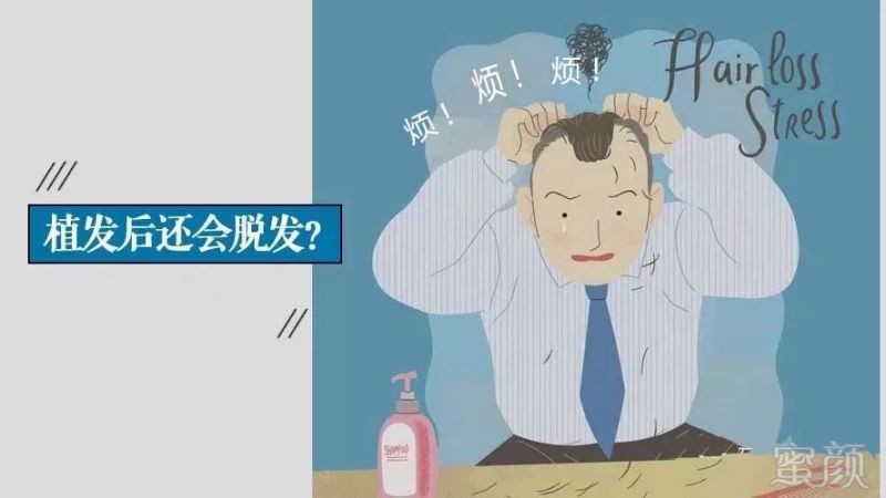 https://img.miyanlife.com/mnt/timg/181229/123542O42-0.jpg