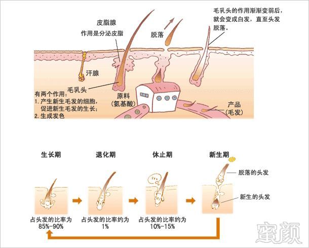 https://img.miyanlife.com/mnt/timg/181229/1235433560-2.jpg
