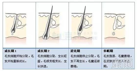 https://img.miyanlife.com/mnt/timg/181229/1235433Y7-3.jpg