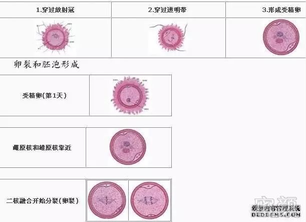 案例图片