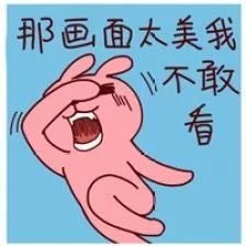 案例图片