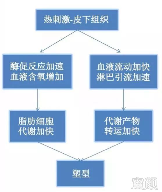 https://img.miyanlife.com/mnt/timg/181229/13024V038-4.jpg