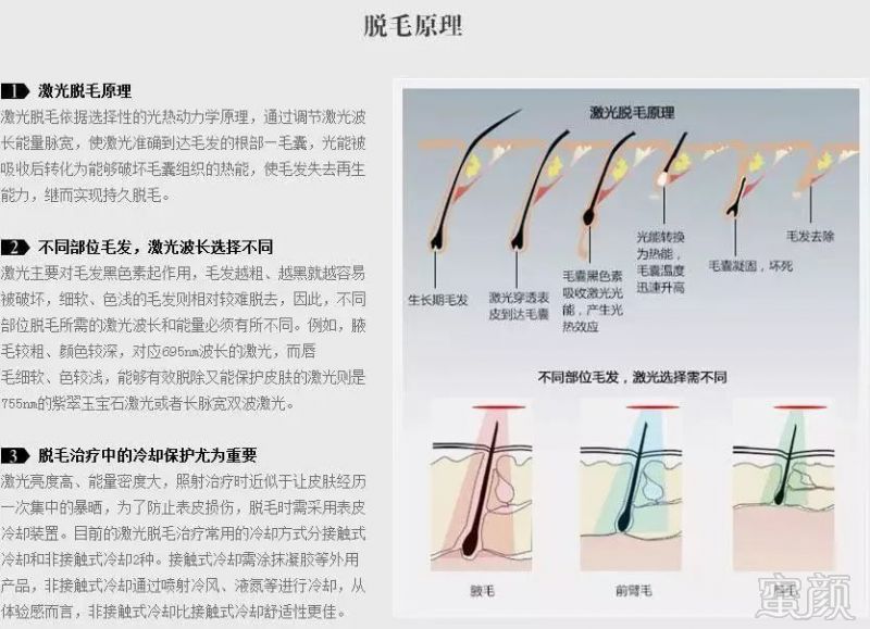https://img.miyanlife.com/mnt/timg/181231/09560V042-3.jpg