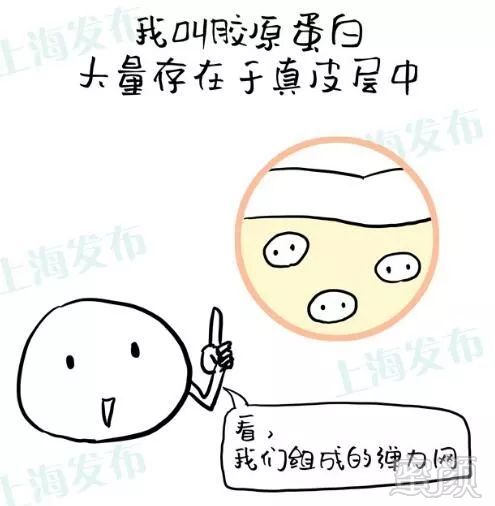 https://img.miyanlife.com/mnt/timg/181231/1133331320-1.jpg
