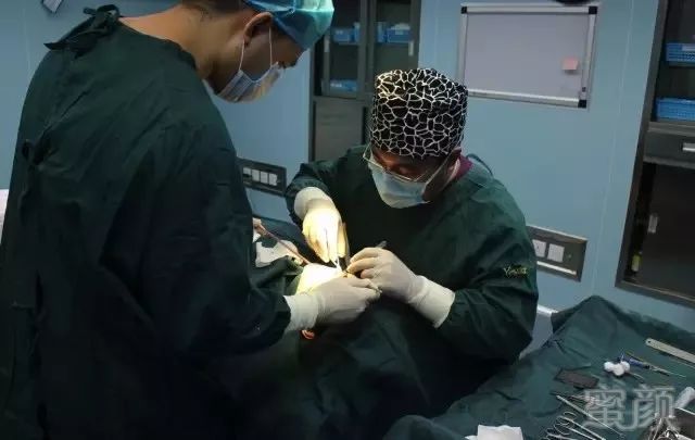 https://img.miyanlife.com/mnt/timg/190101/12264A394-12.jpg