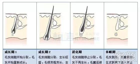 案例图片