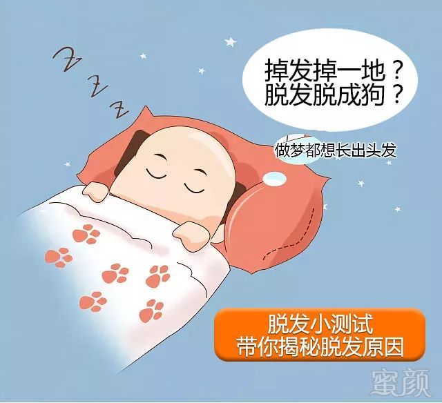 https://img.miyanlife.com/mnt/timg/190105/11392930A-3.jpg