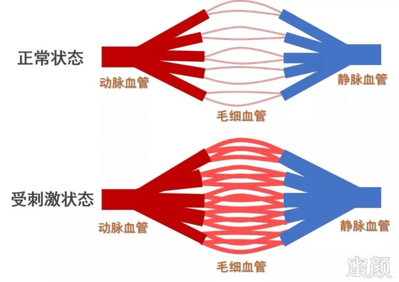 案例图片