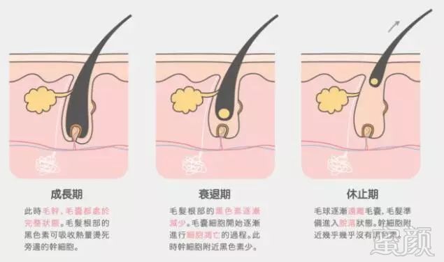 https://img.miyanlife.com/mnt/timg/190107/11160WY3-1.jpg