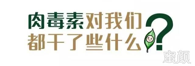 https://img.miyanlife.com/mnt/timg/190107/1139225528-0.jpg