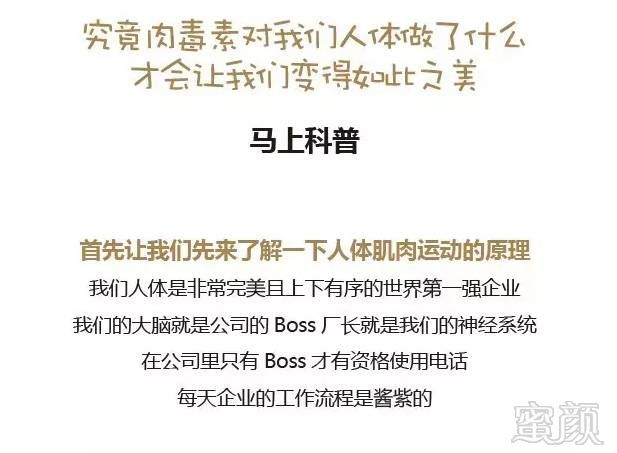 https://img.miyanlife.com/mnt/timg/190107/1139232034-3.jpg