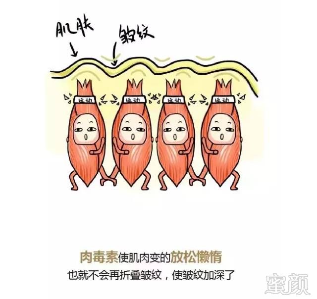 https://img.miyanlife.com/mnt/timg/190107/113924F01-13.jpg