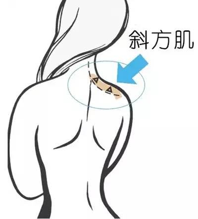 https://img.miyanlife.com/mnt/timg/190107/120I23317-11.jpg
