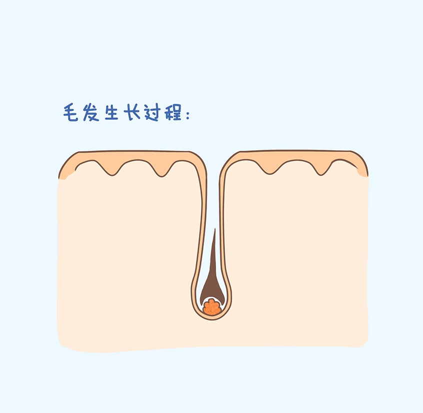 https://img.miyanlife.com/mnt/timg/190108/1315143536-4.jpg