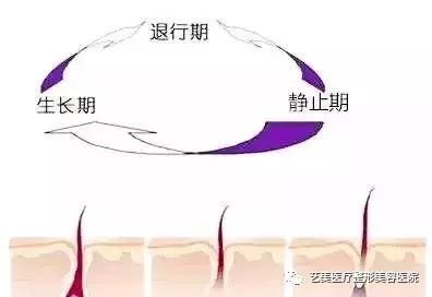 https://img.miyanlife.com/mnt/timg/190108/1315146455-3.jpg