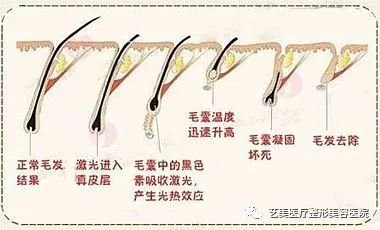 https://img.miyanlife.com/mnt/timg/190108/131514GM-6.jpg