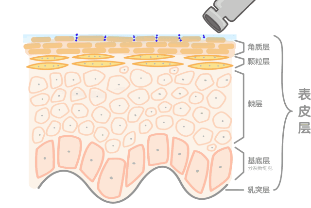 https://img.miyanlife.com/mnt/timg/190109/1215031C6-3.jpg