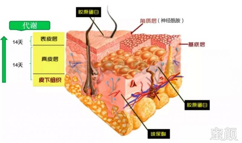 案例图片