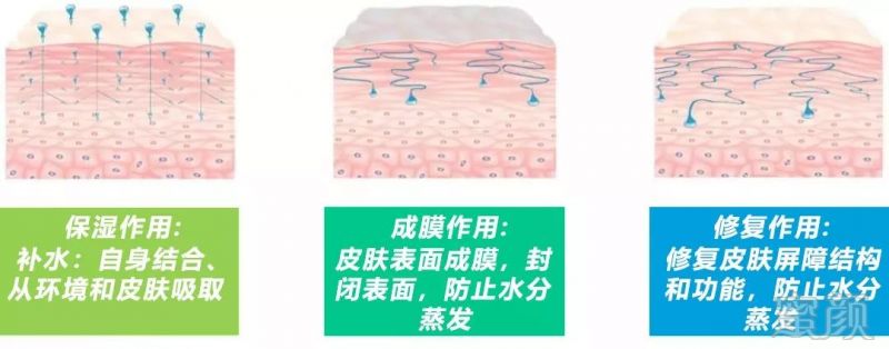 https://img.miyanlife.com/mnt/timg/190109/124035O12-2.jpg