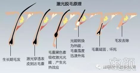 https://img.miyanlife.com/mnt/timg/190109/12430I515-1.jpg