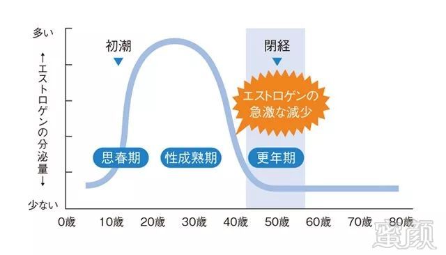 案例图片