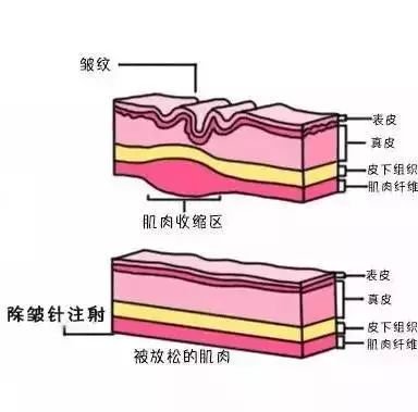 案例图片