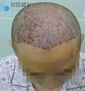 https://img.miyanlife.com/mnt/timg/190112/1345023952-2.jpg