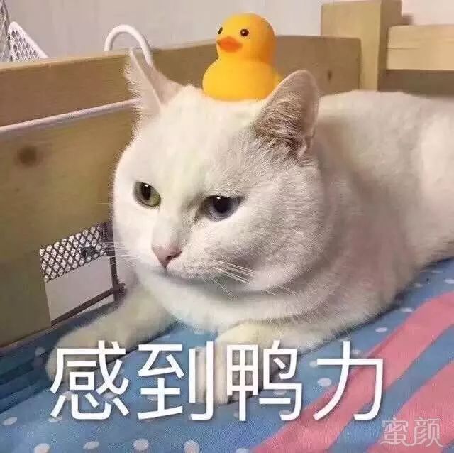 https://img.miyanlife.com/mnt/timg/190112/1345361J9-0.jpg