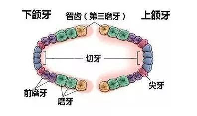 案例图片