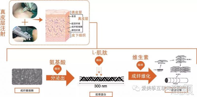 案例图片