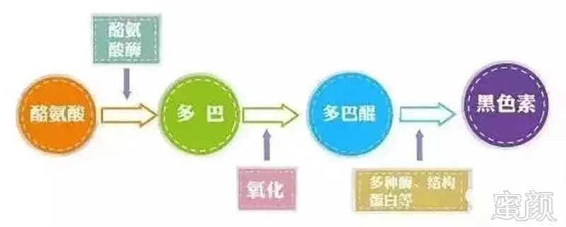 https://img.miyanlife.com/mnt/timg/190113/11211464X-4.jpg