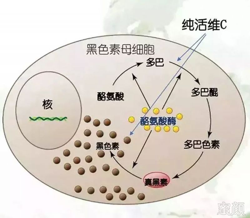 https://img.miyanlife.com/mnt/timg/190113/11211I495-7.jpg