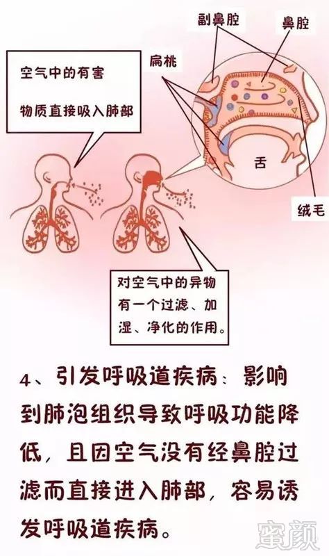 案例图片