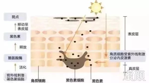 https://img.miyanlife.com/mnt/timg/190114/122023B92-5.jpg