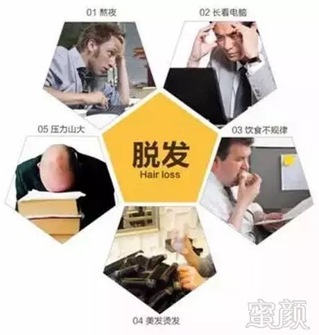 https://img.miyanlife.com/mnt/timg/190117/1311345619-6.jpg