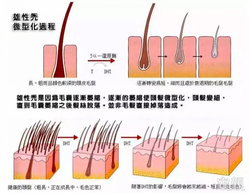 案例图片