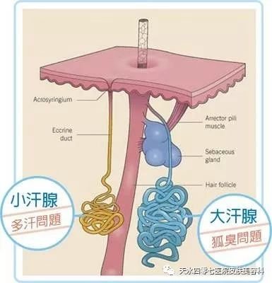 https://img.miyanlife.com/mnt/timg/190119/1120201416-0.jpg