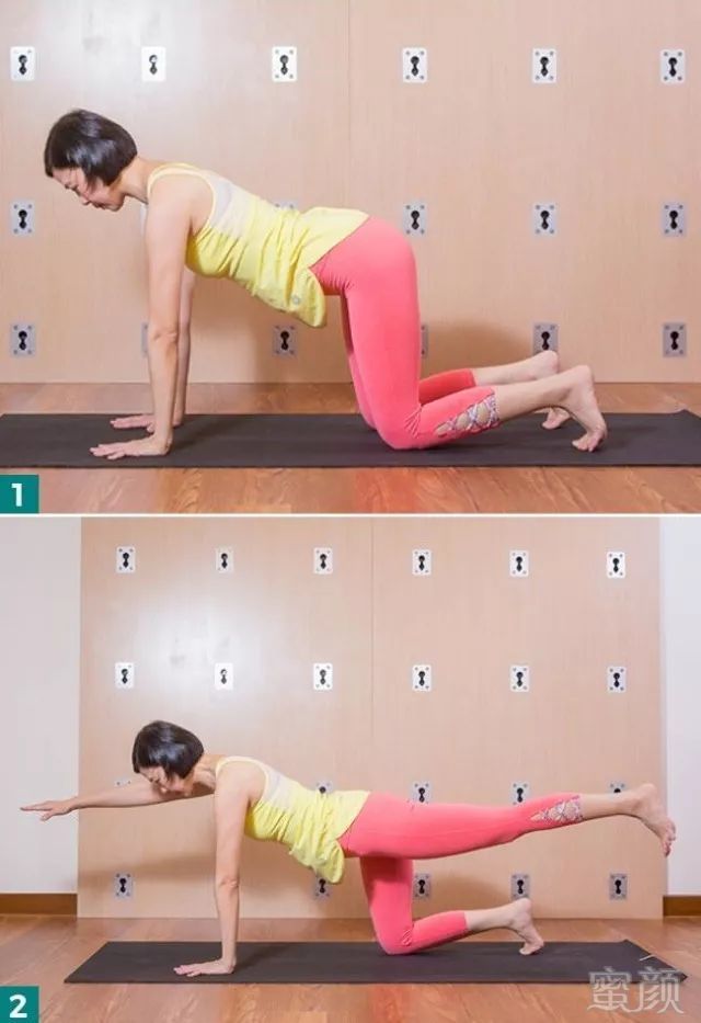 https://img.miyanlife.com/mnt/timg/190120/112P61019-4.jpg