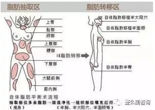 https://img.miyanlife.com/mnt/timg/190122/1236443O8-2.jpg