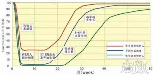 案例图片