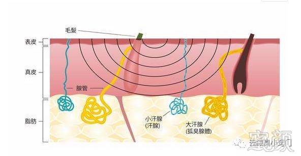 案例图片