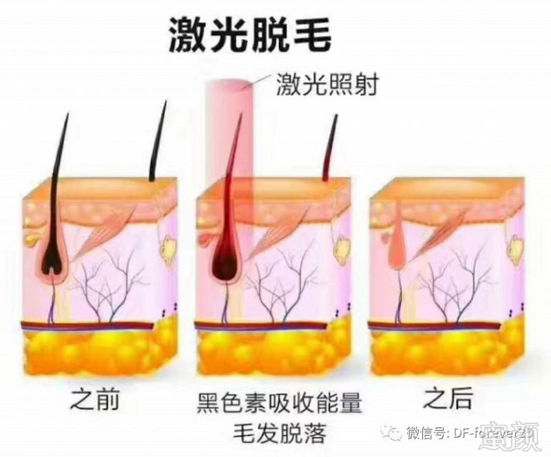 https://img.miyanlife.com/mnt/timg/190124/11321051Z-0.jpg