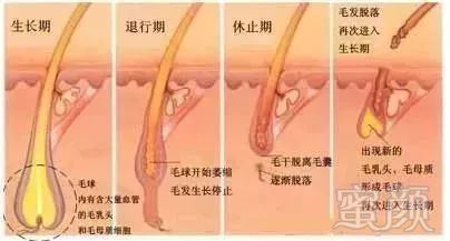 https://img.miyanlife.com/mnt/timg/190124/121Q02H0-0.jpg