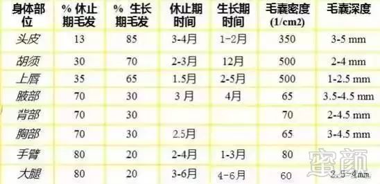 https://img.miyanlife.com/mnt/timg/190124/121Q0B28-1.jpg