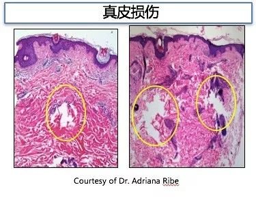 https://img.miyanlife.com/mnt/timg/190124/1223495434-3.jpg